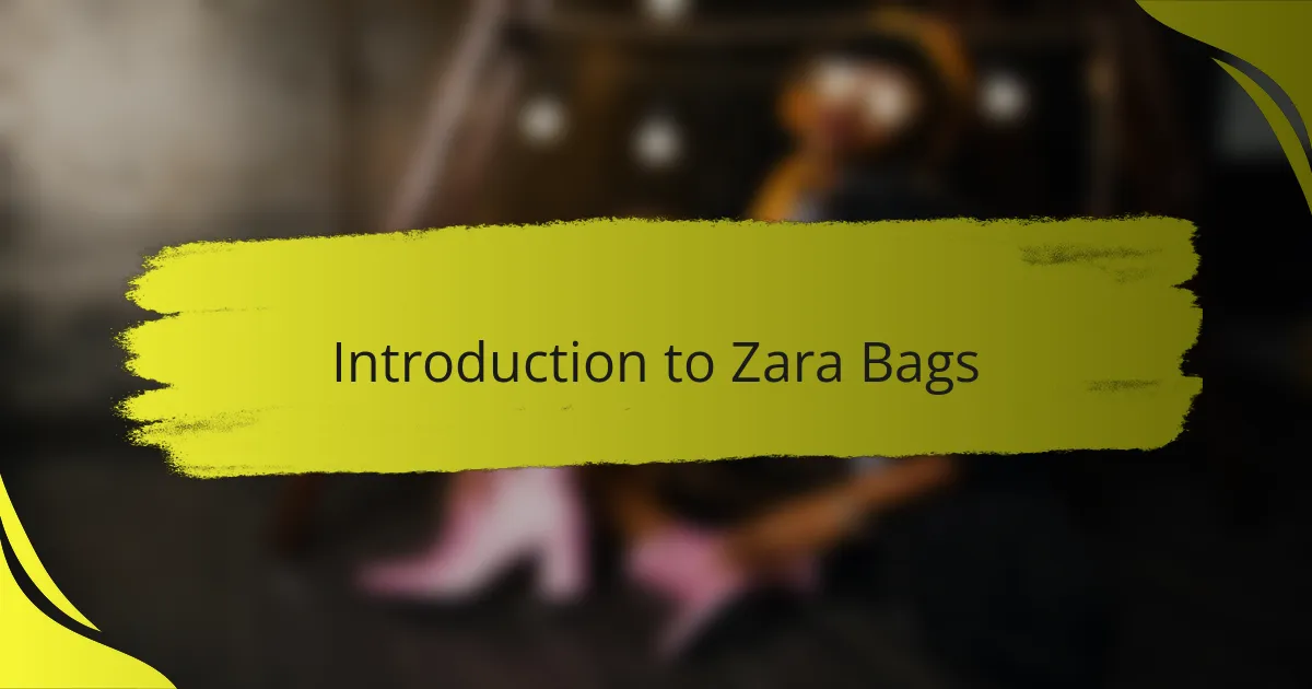 Introduction to Zara Bags