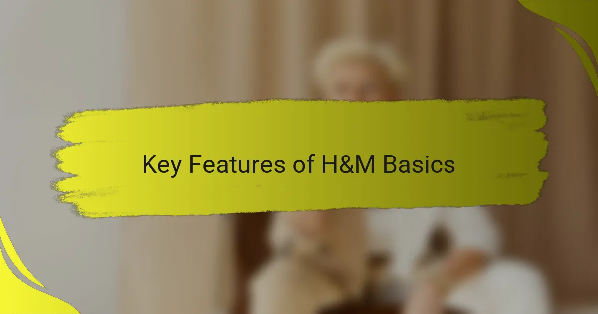Key Features of H&M Basics