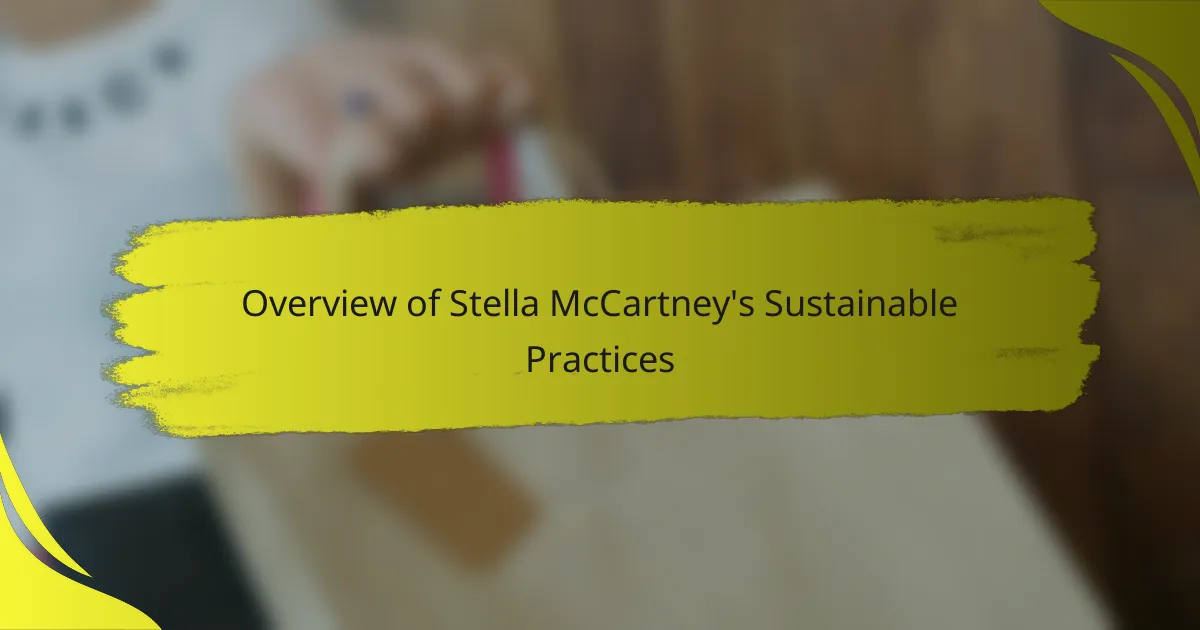Overview of Stella McCartney's Sustainable Practices